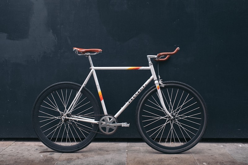 Velokameleon Feature Image